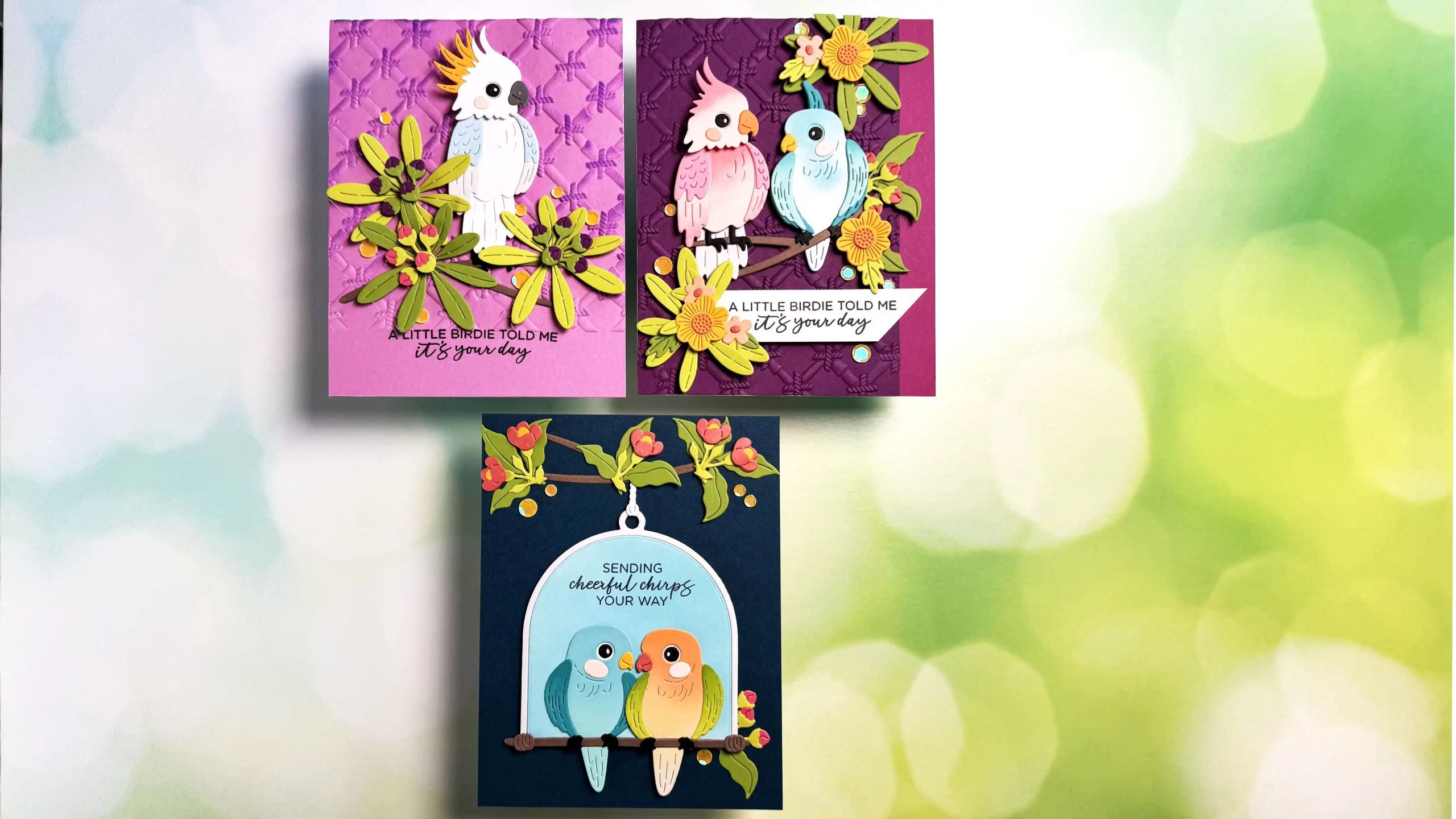 Three handmade greeting cards feature colorful birds perched on branches with leaves and flowers, each with a birthday or well wishes message against vibrant backgrounds.