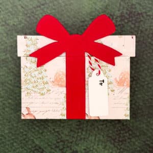 A Christmas Package with holiday-themed wrapping, a large red paper bow, and a white tag labeled "To," perfect as a Christmas Gift or Gift Card Holder, sits on a green textured surface.